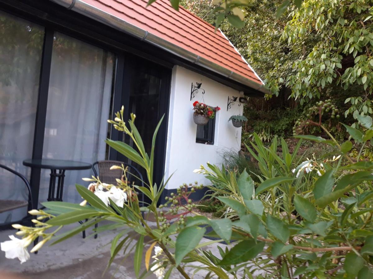 Kismadar Vendeghaz Noszvaj Διαμέρισμα Εξωτερικό φωτογραφία