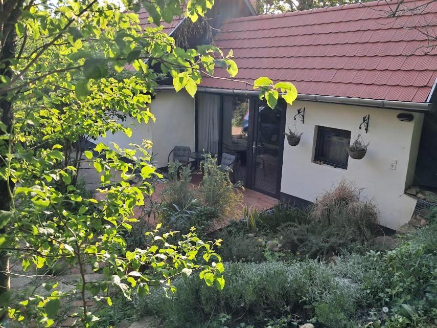 Kismadar Vendeghaz Noszvaj Διαμέρισμα Εξωτερικό φωτογραφία